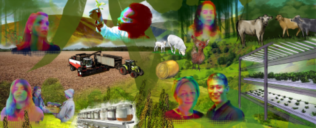 Hazard0ne food security artwork